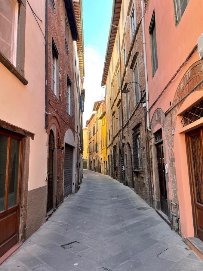 Casa Merlot * Lucca